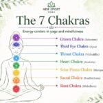 Chakra Yoga T-Shirt Collection is inspired by the seven chakras